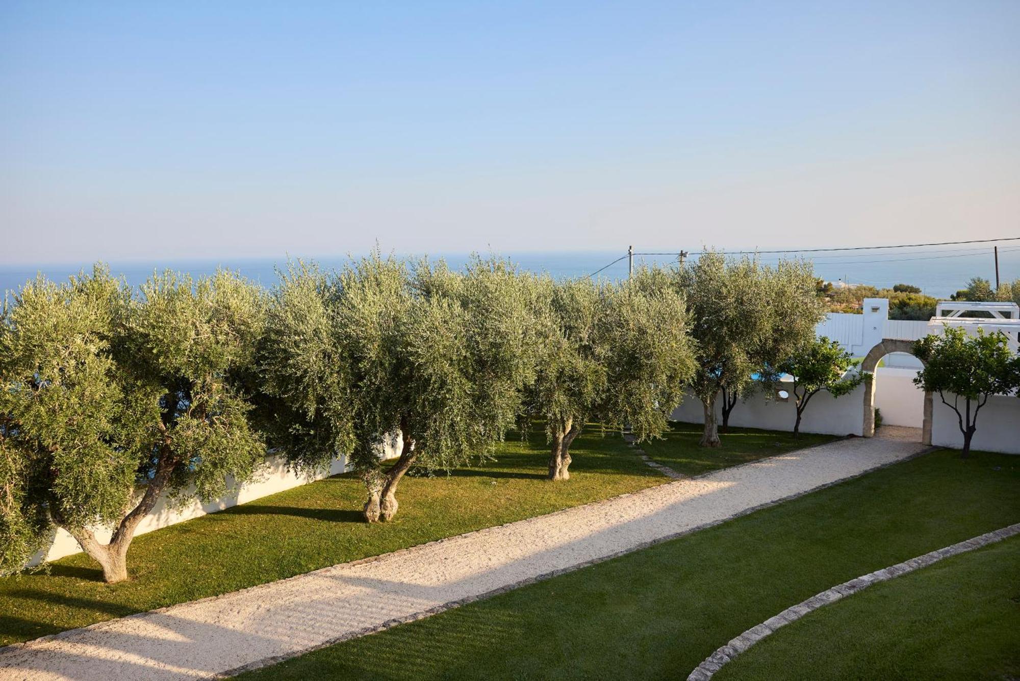 La Locanda Del Carrubo Mattinata Εξωτερικό φωτογραφία